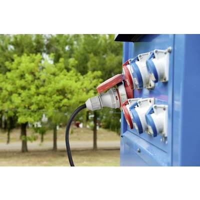 Ein dickes schwarzes Kabel ist an eine blaue Außengehäusesteckdose angeschlossen, inmitten einer grünen Umgebung mit Bäumen.