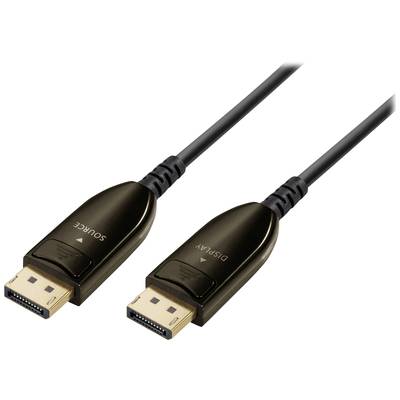Ein schwarzes DisplayPort-Kabel mit zwei Steckern an beiden Enden, gekennzeichnet mit 'Source' und 'Display' zur Signalübertragung.