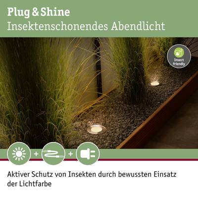 'Plug & Shine' abendliche Gartenbeleuchtung mit insektenfreundlichem Licht. Schilderung: Schutz von Insekten durch angepasste Lichtfarbe.