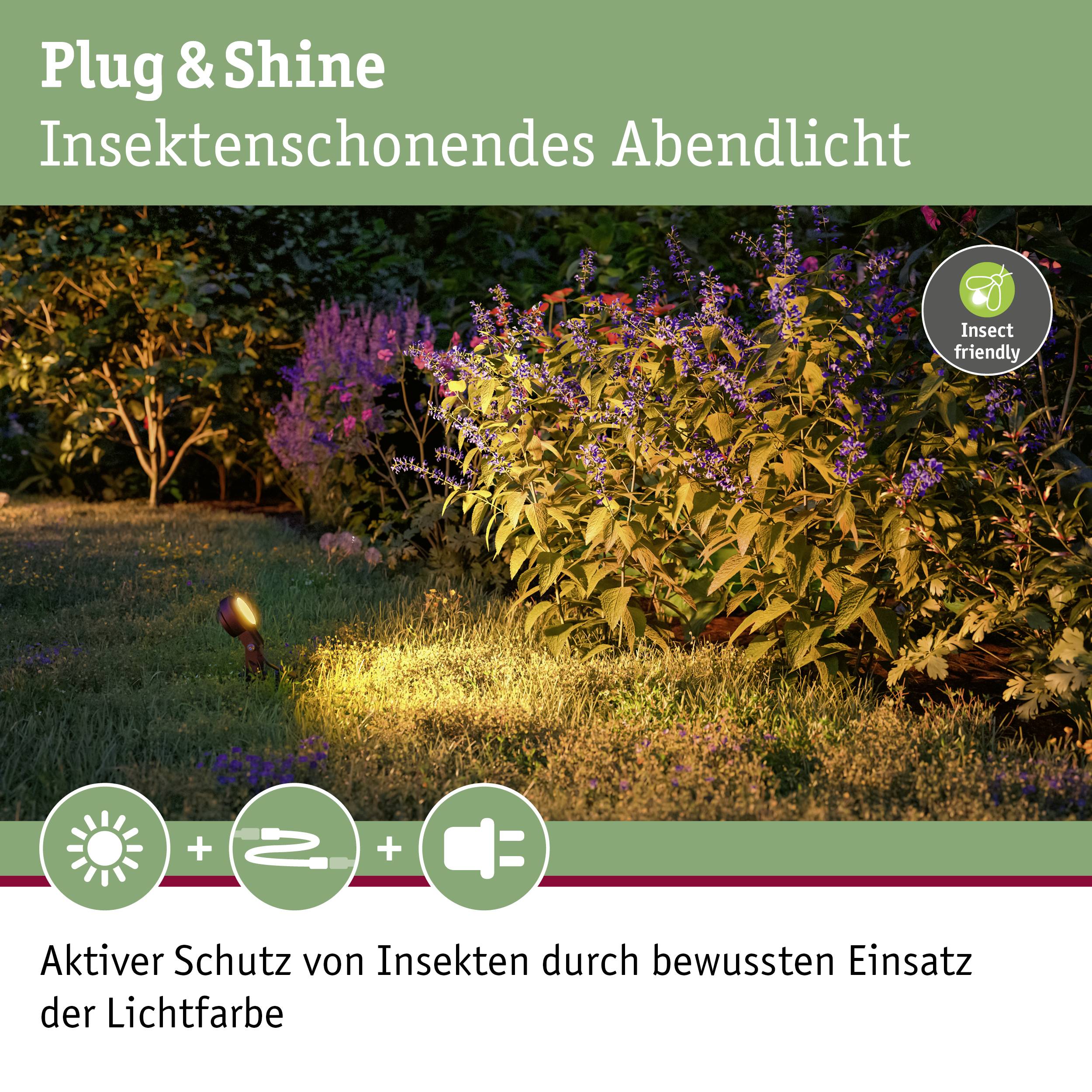 'Plug & Shine Insektenschonendes Abendlicht' und 'Aktiver Schutz von Insekten durch bewussten Einsatz der Lichtfarbe'. Gartenpflanzen beleuchtet.