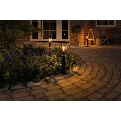 Ein beleuchteter Gartenweg mit Laternen und Pflanzen bei Nacht. Im Hintergrund ist eine Terrassentür sichtbar.