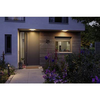 Eingangsbereich eines modernen Hauses bei Dämmerung, umgeben von blühenden Blumen. Beleuchtete Hausnummer 21, Fenster zeigt Pflanzen innen.
