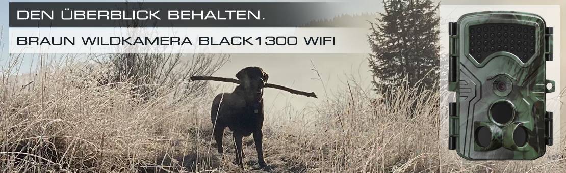 Ein Hund trägt einen Stock durch hohes Gras. Rechts im Bild ist eine tarnfarbene Wildkamera abgebildet. Text: 'Den Überblick behalten. Braun Wildkamera Black1300 WiFi'.