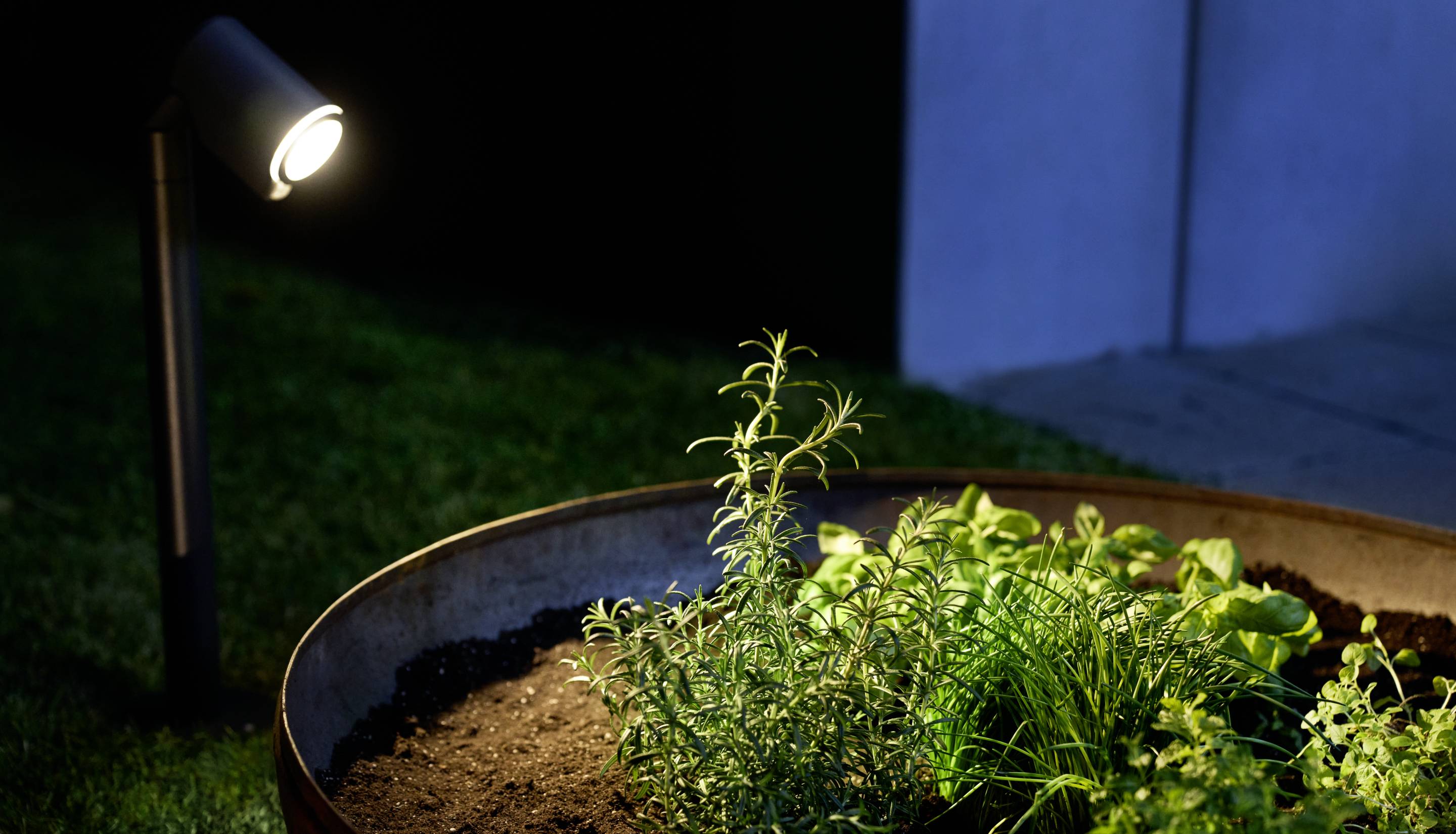 Ein Gartenbeet bei Nacht mit Kräutern, die von einer Lampe beleuchtet werden. Die Szene wirkt ruhig und gut gepflegt.