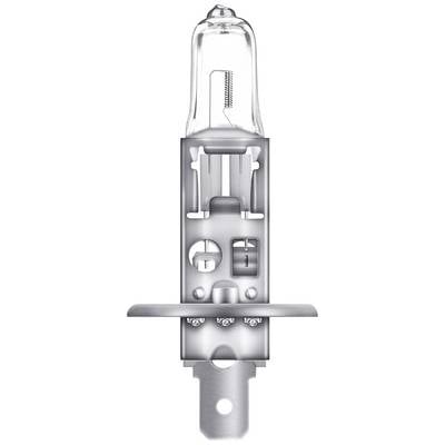 Halogenlampe in Nahaufnahme, zeigt die Struktur und den Glaskolben der Lampe, mit Metallanschlüssen unten.
