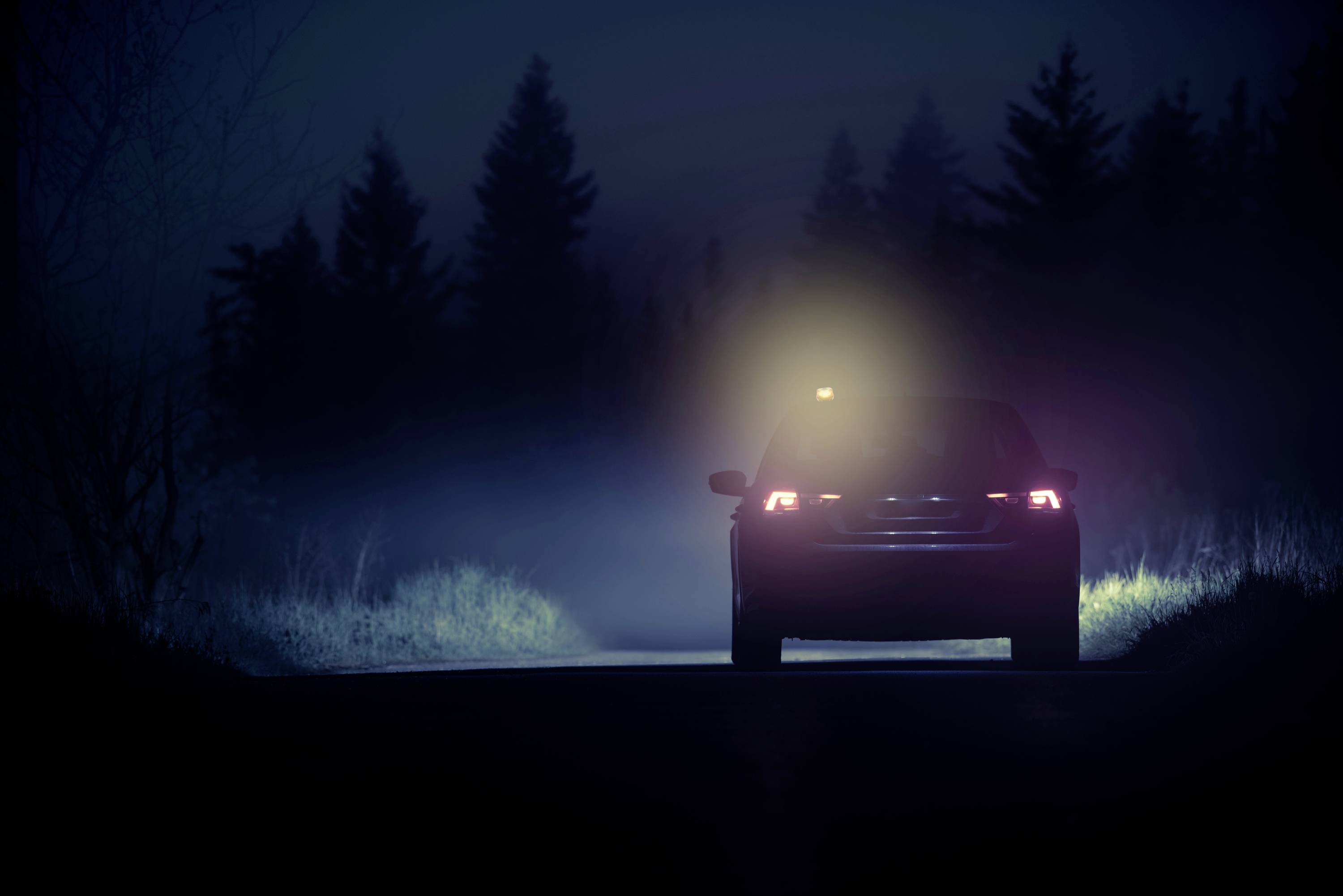 Ein Auto fährt nachts auf einer dunklen Straße, umgeben von Nebel. Das Fernlicht leuchtet den Weg aus, während Bäume die Straße säumen.