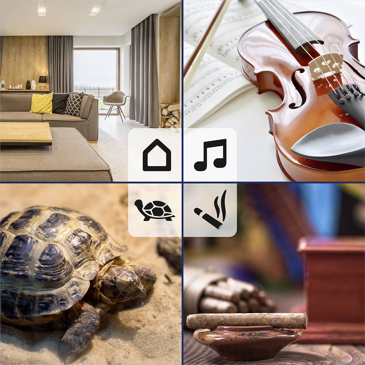 Wohnzimmer mit moderner Einrichtung, Violine mit Notenblatt, Schildkröte auf Sand, Stapel Gesellschaftsspiele; Symbolik für Zuhause und Freizeit.