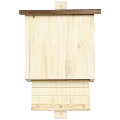 Siena Garden 39002-205 Fledermaushöhle Austin 1 St.