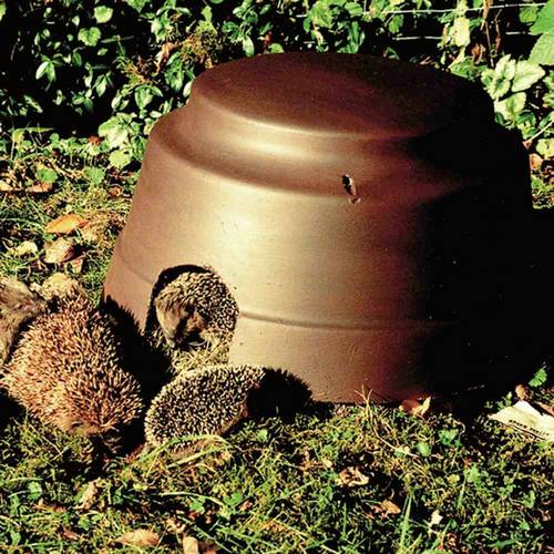 Schwegler 3904 Igelkuppel Holzbeton kartonverpackt 1 St.