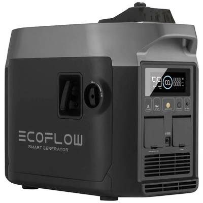 ECOFLOW Ecoflow 664932 Smart Generator 