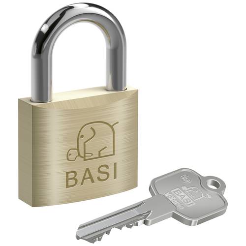 Basi V5090-0050 Vorhängeschloss 50 mm verschieden schließend Schlüsselschloss