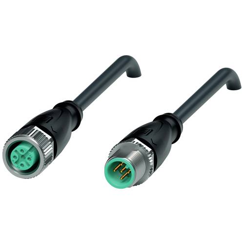 Pepperl+Fuchs 240775-100012 Sensor-/Aktor-Steckverbinder, konfektioniert 1 m Polzahl Sensoren: 5, 5 1 St.