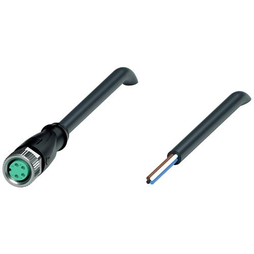 Pepperl+Fuchs 240799-0019 Sensor-/Aktor-Steckverbinder, konfektioniert 50 m Polzahl Sensoren: 4 1 St.