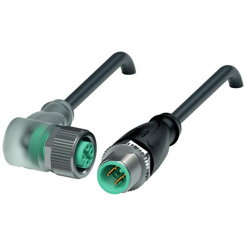 Pepperl+Fuchs 240780-100013 Sensor-/Aktor-Steckverbinder, konfektioniert 2 m Polzahl Sensoren: 4, 4 1 St.