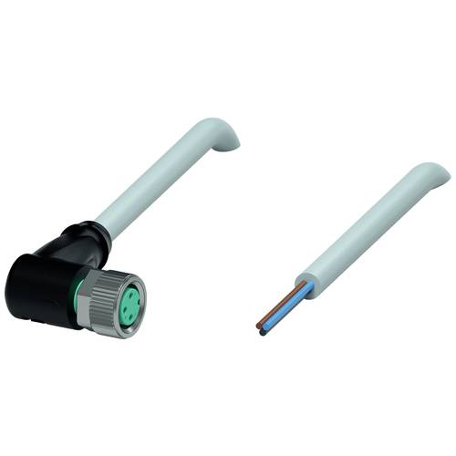 Pepperl+Fuchs 240800-100010 Sensor-/Aktor-Steckverbinder, konfektioniert 0.5 m Polzahl Sensoren: 3 1 St.