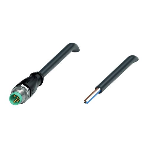 Pepperl+Fuchs 240807-0009 Sensor-/Aktor-Steckverbinder, konfektioniert 10 m Polzahl Sensoren: 4 1 St.