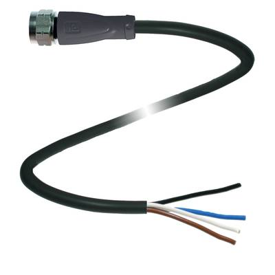 Ein elektrisches Kabel mit einem Steckverbinder am einen Ende und vier abisolierten Leitungen (braun, blau, schwarz, weiß) am anderen Ende.