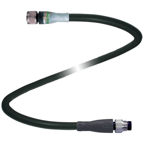 Pepperl+Fuchs 240818-0004 Sensor-/Aktor-Steckverbinder, konfektioniert 2 m Polzahl Sensoren: 3, 3 1 St.