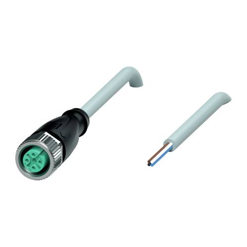 Pepperl+Fuchs 239998-0014 Sensor-/Aktor-Steckverbinder, konfektioniert 6 m Polzahl Sensoren: 4 1 St.