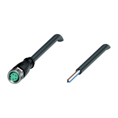 Pepperl+Fuchs 240799-0012 Sensor-/Aktor-Steckverbinder, konfektioniert 10 m Polzahl Sensoren: 4 1 St.