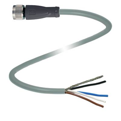 'Abgebildet ist ein graues elektrisches Kabel mit Stecker an einem Ende und freiliegenden Adern in verschiedenen Farben am anderen Ende.'