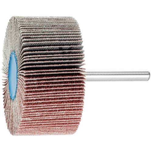 PFERD TOOLS 44498014 Fächerschleifwerkzeuge F 6030/6 A 80 (1) Durchmesser 60 mm 1 St.