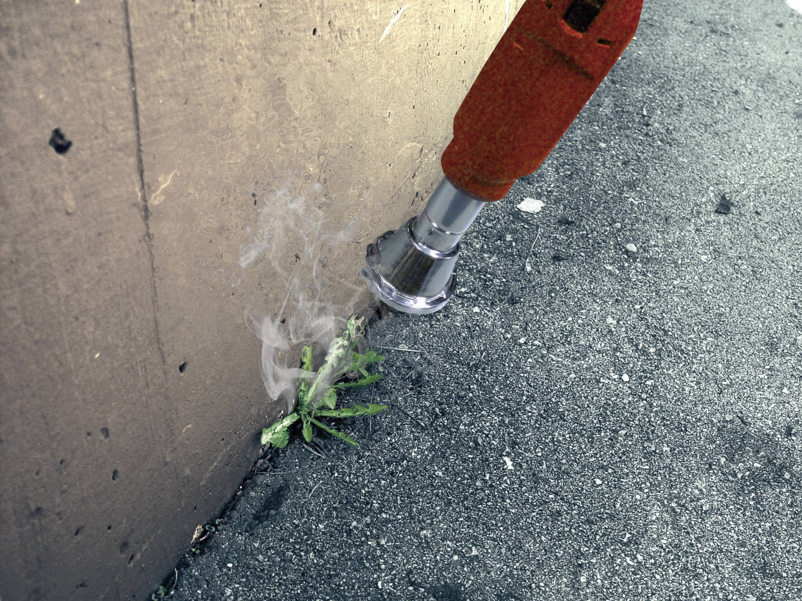 Ein Feuerwehrschlauch spritzt Wasser auf eine brennende Pflanze am Straßenrand, um das Feuer zu löschen.
