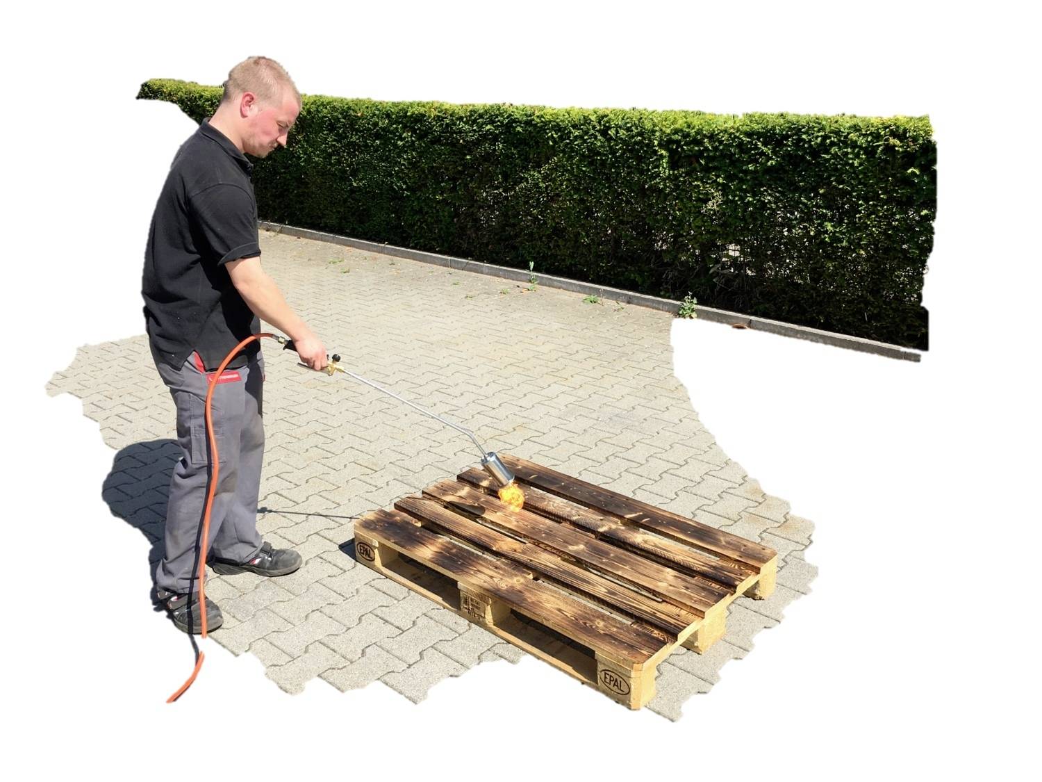 Eine Person bearbeitet eine Holzpalette mit einem Werkzeug auf einer gepflasterten Fläche neben einer Hecke.