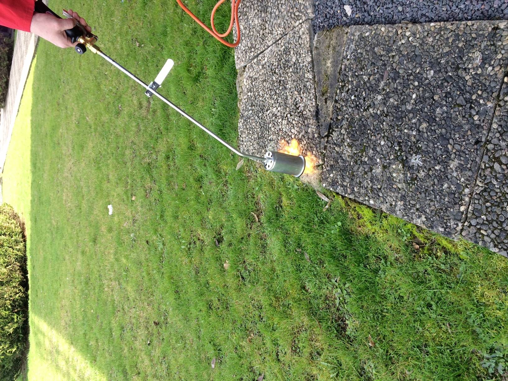 Eine Person verwendet einen Gasbrenner, um Unkraut zwischen Gehwegplatten auf einer Rasenfläche zu entfernen.
