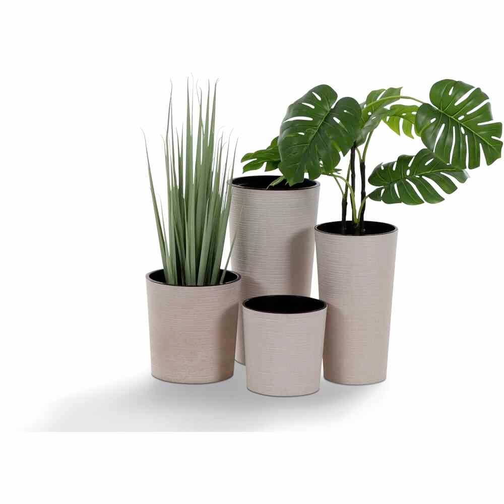 Vier Pflanztöpfe in Pastelltönen, zwei mit hohen Gräsern und einer mit großen, grünen Blättern. Minimalistisches Design.