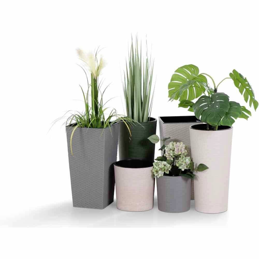 Fünf Blumentöpfe in verschiedenen Größen und Farben, gefüllt mit unterschiedlichen Pflanzen, arrangiert auf einer weißen Fläche.