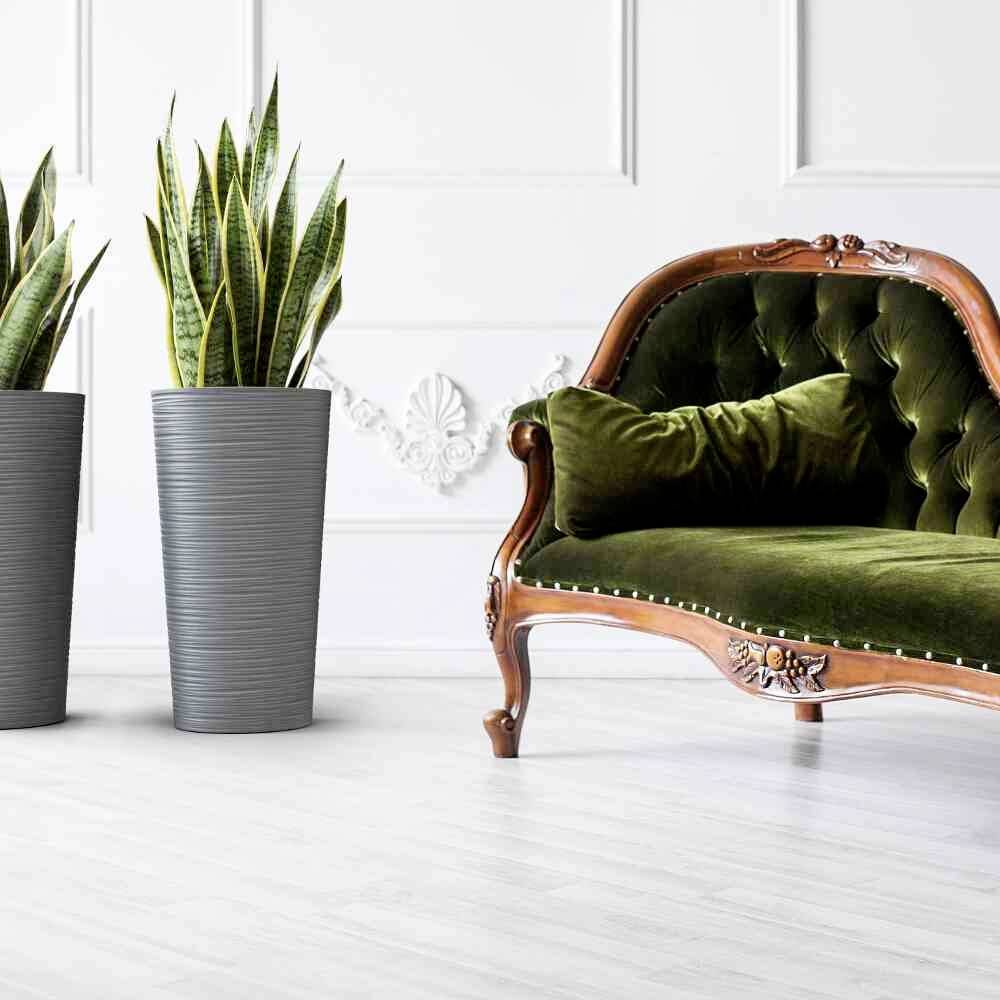 Grünes Samtsofa im antiken Stil neben zwei hohen, grauen Pflanzgefäßen mit Schwertpflanzen, vor einer weißen, dekorativen Wand.