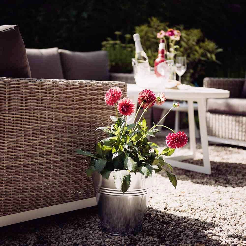 Terrasse mit Korbmöbeln, Tisch, Blumenstrauß, und Sektflaschen, umgeben von Pflanzen. Sommerstimmung im Freien.