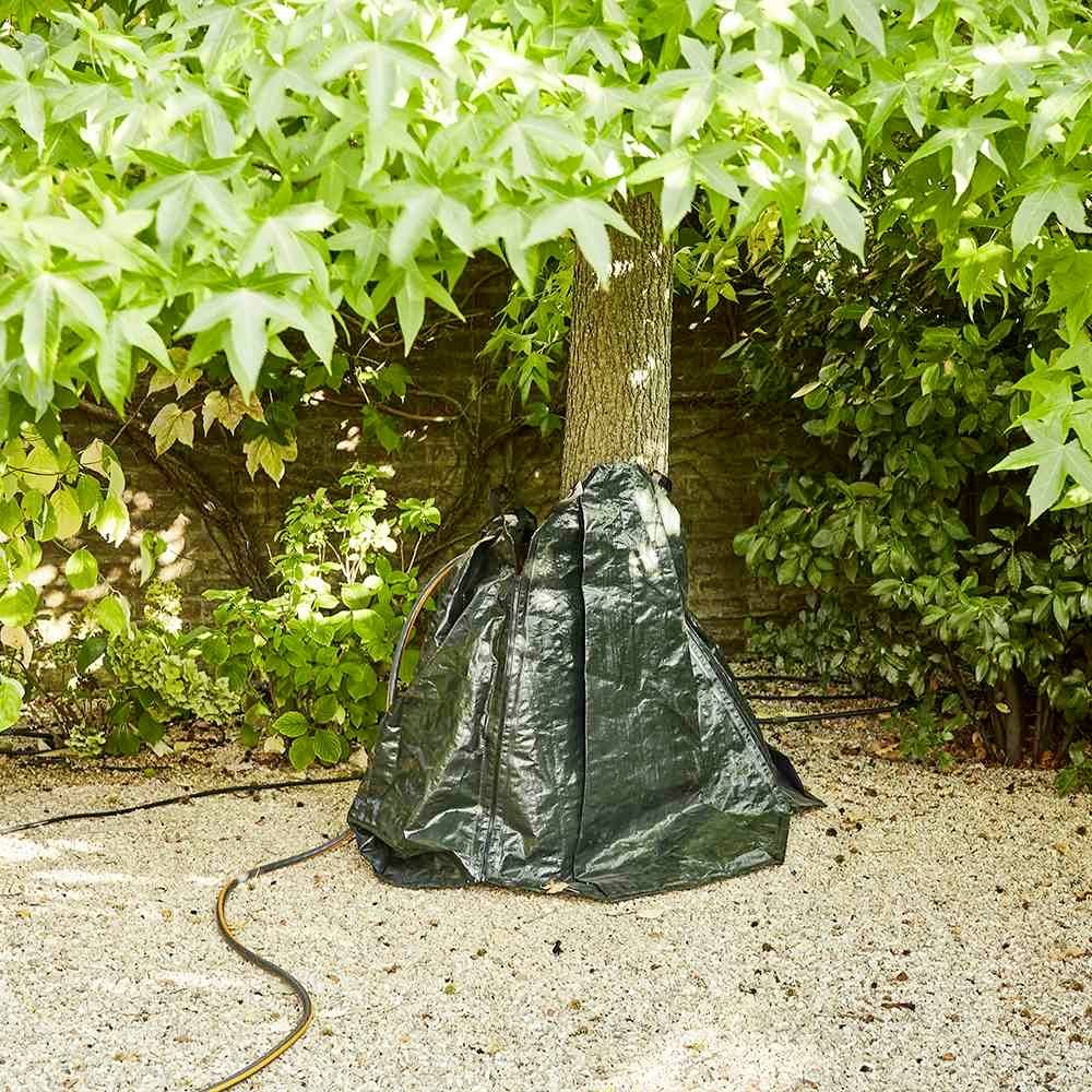 Ein Baum in einem Garten, umgeben von grünem Laub und Kiesboden. Ein dunkler, wassergefüllter Beutel ist um den Baumstamm gebunden.