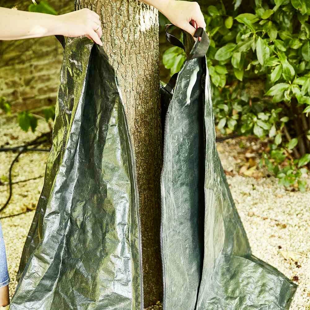 'Zwei Hände wickeln eine schützende Plane um den Stamm eines Baumes im Garten, um den Baum vor Umwelteinflüssen zu schützen.'