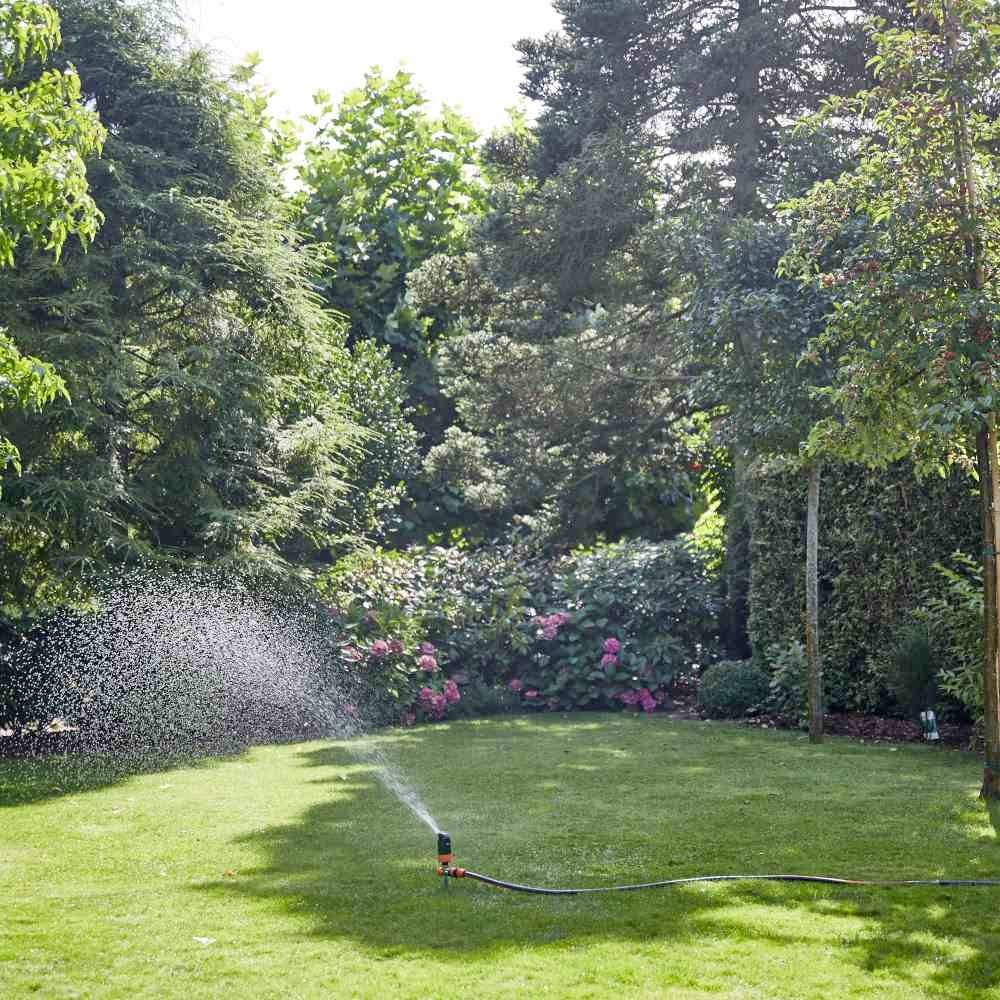 Rasen mit Sprinkler, der Wasser sprüht, umgeben von üppigen grünen Bäumen und Sträuchern; sonnige Gartenlandschaft im Hintergrund.