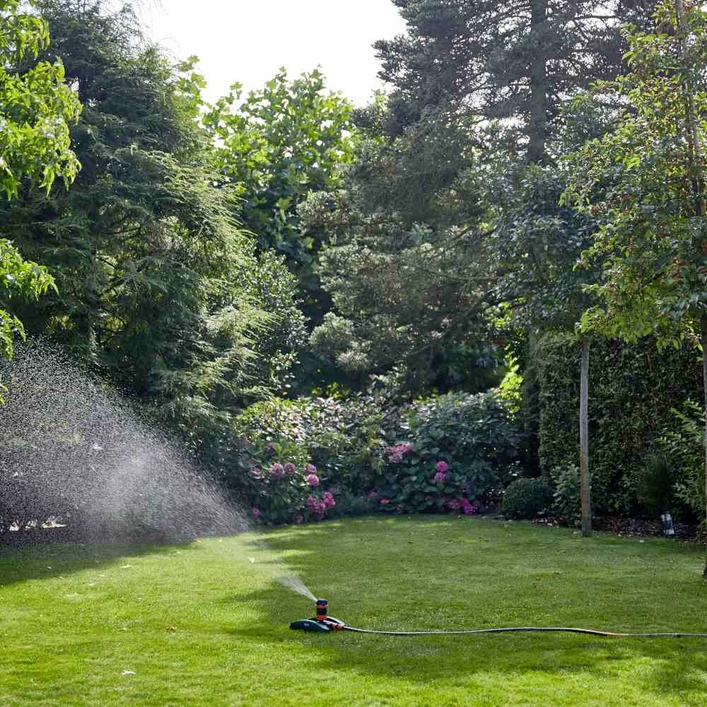 Ein Rasensprenger bewässert einen grünen Rasen, umgeben von Bäumen und Sträuchern, an einem sonnigen Tag.