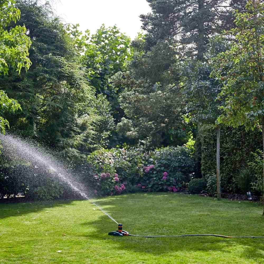 Ein Rasen in einem Garten wird von einem automatischen Sprinkler bewässert, umgeben von dichten Bäumen und blühenden Sträuchern.