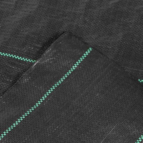 Siena Garden B76057 Unterbodengewebe 2 x 5 m; 100g, schwarz 10 m²