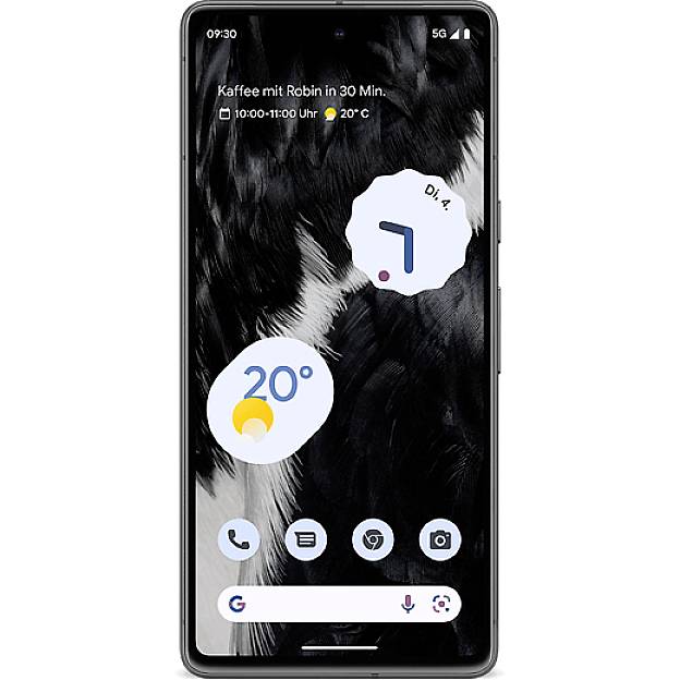 Google Pixel 7 5G Smartphone GB cm Android™ Dual-SIM kaufen 16 (6.3 Schwarz 13 128 Zoll)