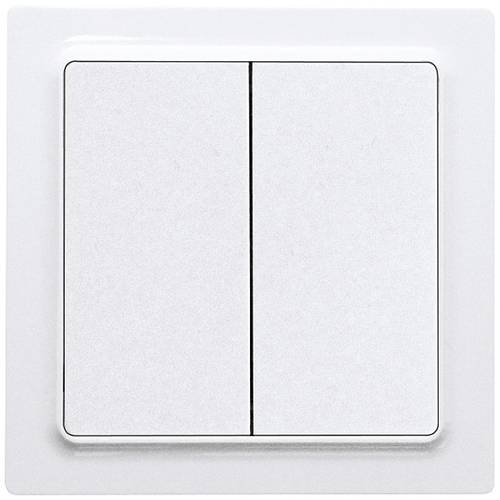 W2T55E-wg Eltako Taster Unterputz