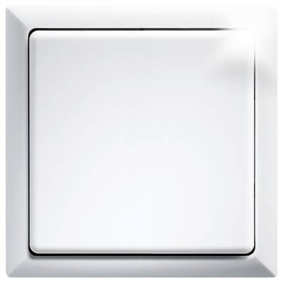 Ein rechteckiger, weißer Lichtschalter ist in der Mitte eines weißen Rahmens positioniert. Der Schalter ist im ausgeschalteten Zustand.