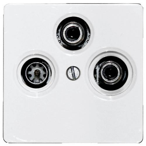 TV55E/3-am Eltako TV/RF/SAT-Abdeckung Schraubbefestigung