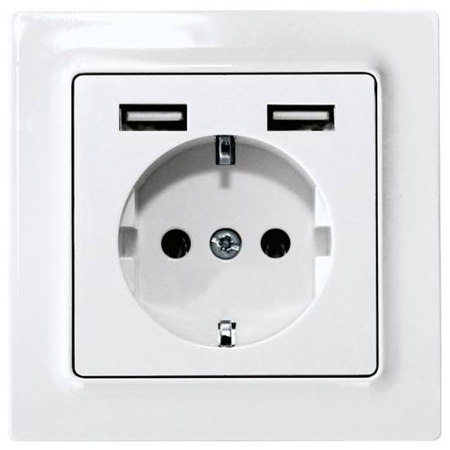 DSS55E+2xUSBA-pg Eltako Steckdose Unterputz, Schraubbefestigung