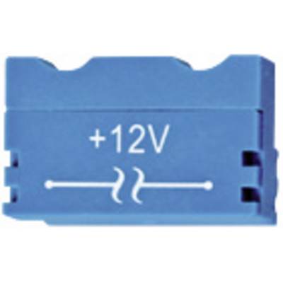 Blauer Sicherungsblock mit Aufdruck '+12V'.