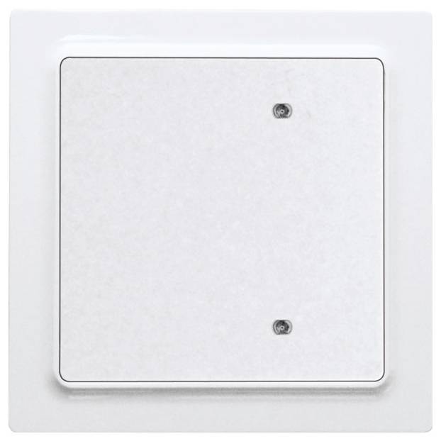 Ein weißer Lichtschalter an einer glatten Wand, rechteckig mit gerundeten Ecken, zwei kleine Schrauben oben rechts befestigt.