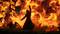 Person in einem Umhang steht mit erhobenem Arm vor lodernden Flammen, während im Hintergrund zwei spinnenartige Kreaturen zu sehen sind.