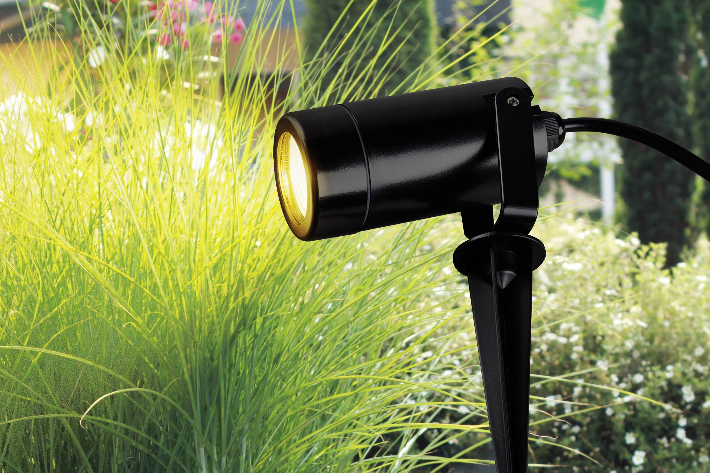 'Schwarzer Gartenscheinwerfer' leuchtet auf hohes Gras in einem Garten. Im Hintergrund sind verschwommene Pflanzen und Bäume zu sehen.