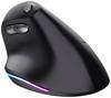 Trust Bayo - rechts - Optisch - RF Wireless - 2400 DPI - Schwarz