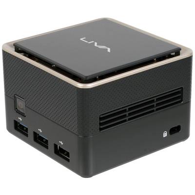 Kompakter Mini-PC mit schwarzem Gehäuse und mehreren USB-Anschlüssen. Oberseite mit 'LIVA'-Logo. Ideal für platzsparende Anwendungen.